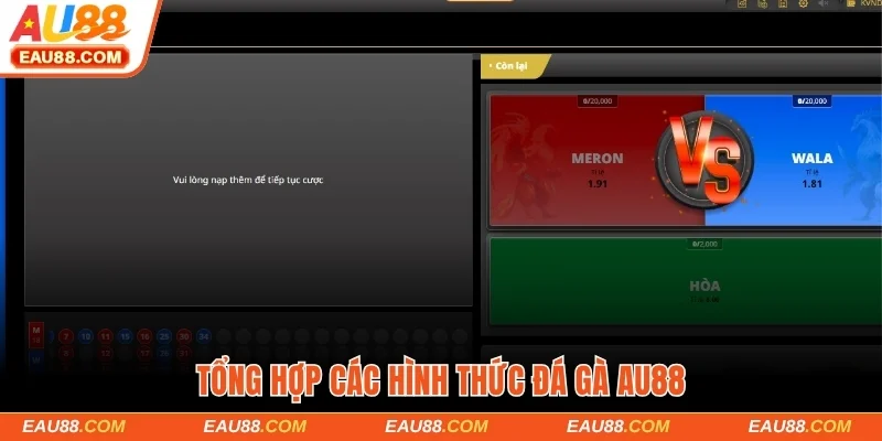 Hình thức chọi kê dễ chơi nên thử